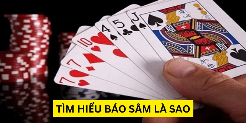 Cùng tìm hiểu báo sâm là gì
