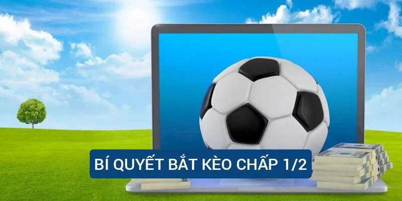 Cách tính kèo chấp 0.5 là sao