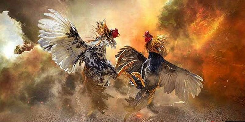 Tham khảo bảng thành tích